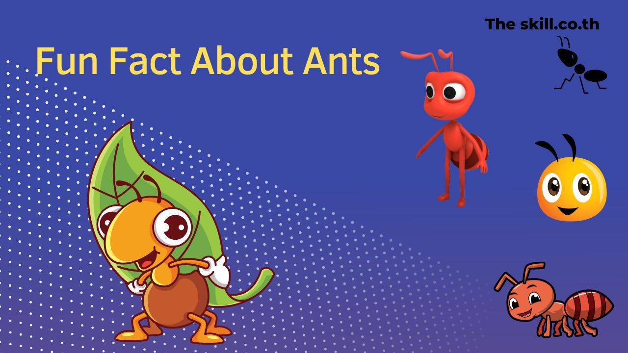 Fun Fact About Ants ( ข้อเท็จจริงสนุกๆ เกี่ยวกับมด )