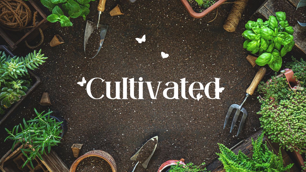 Cultivated (adjective)