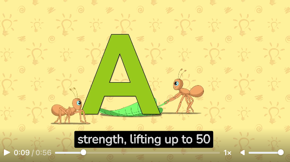 Why do ants lift so much weight? - 16